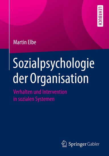 Martin Elbe - Sozialpsychologie der Organisation, Häftad