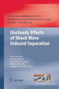 bokomslag Unsteady Effects of Shock Wave induced Separation