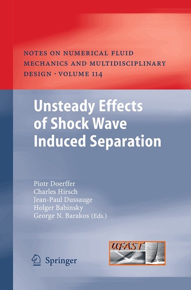 Piotr Doerffer, Charles Hirsch, Jean-Paul Dussauge, Holger Babinsky, George N. Barakos - Unsteady Effects of Shock Wave induced Separation, Häftad