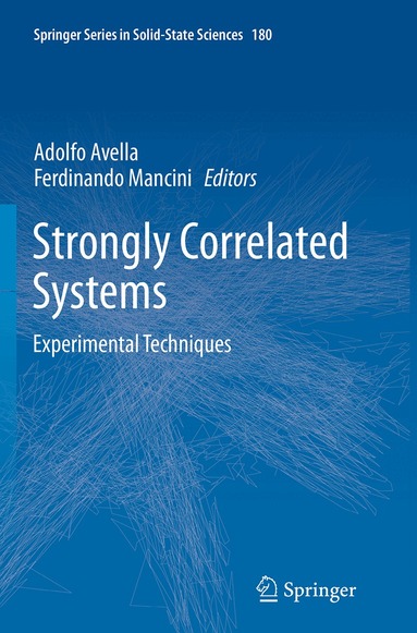 Adolfo Avella, Ferdinando Mancini - Strongly Correlated Systems, Häftad