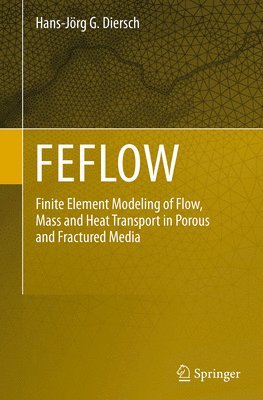 FEFLOW 1