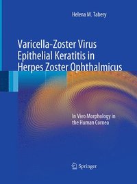 bokomslag Varicella-Zoster Virus Epithelial Keratitis in Herpes Zoster Ophthalmicus