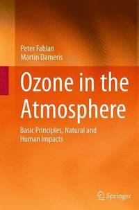 bokomslag Ozone in the Atmosphere