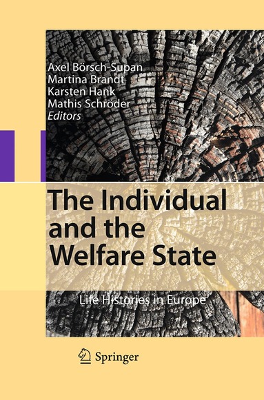 Axel Börsch-Supan, Martina Brandt, Karsten Hank, Mathis Schröder - Individual and the Welfare State, Häftad