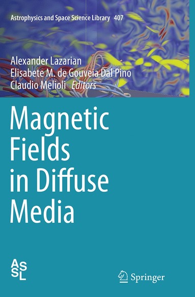 bokomslag Magnetic Fields in Diffuse Media