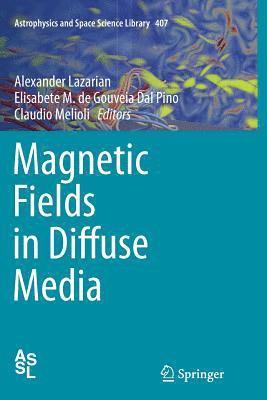 Magnetic Fields in Diffuse Media 1