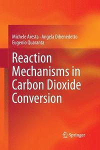 bokomslag Reaction Mechanisms in Carbon Dioxide Conversion