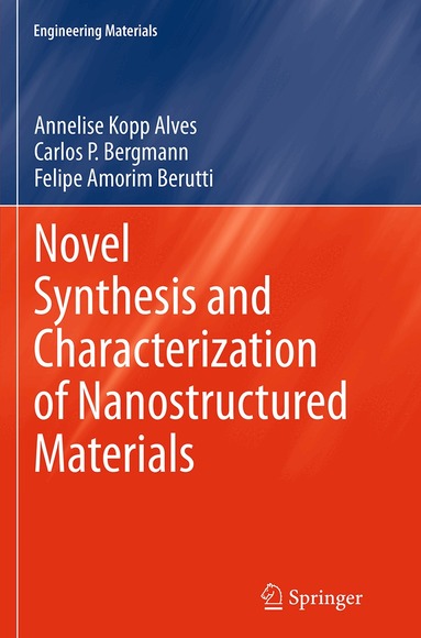 Annelise Kopp Alves, Carlos P. Bergmann, Felipe Amorim Berutti - Novel Synthesis and Characterization of Nanostructured Materials, Häftad