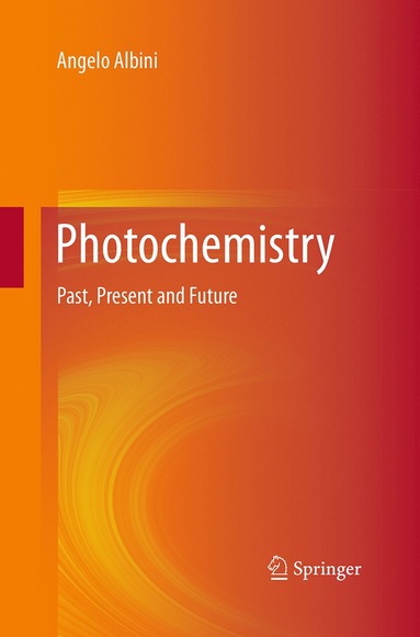 bokomslag Photochemistry