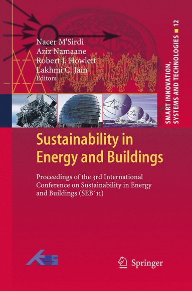 bokomslag Sustainability in Energy and Buildings