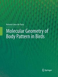 bokomslag Molecular Geometry of Body Pattern in Birds