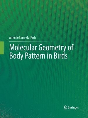 Molecular Geometry of Body Pattern in Birds 1