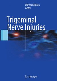 bokomslag Trigeminal Nerve Injuries