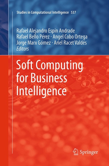 Rafael Espin, Rafael Bello Pérez, Angel Cobo, Jorge Marx, Ariel Racet Valdés - Soft Computing for Business Intelligence, Häftad