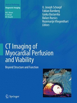 bokomslag CT Imaging of Myocardial Perfusion and Viability