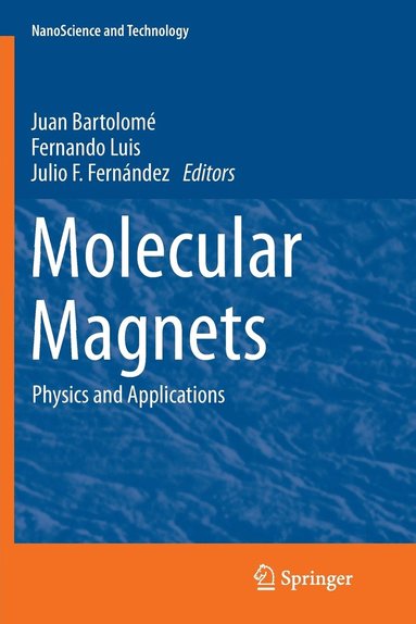 bokomslag Molecular Magnets