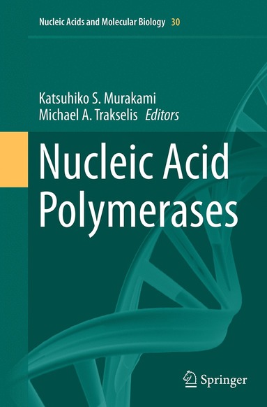 bokomslag Nucleic Acid Polymerases