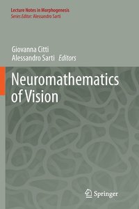 bokomslag Neuromathematics of Vision