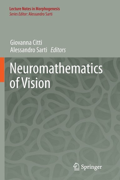 bokomslag Neuromathematics of Vision