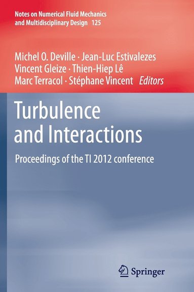 bokomslag Turbulence and Interactions