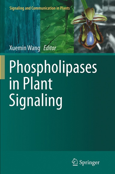 bokomslag Phospholipases in Plant Signaling