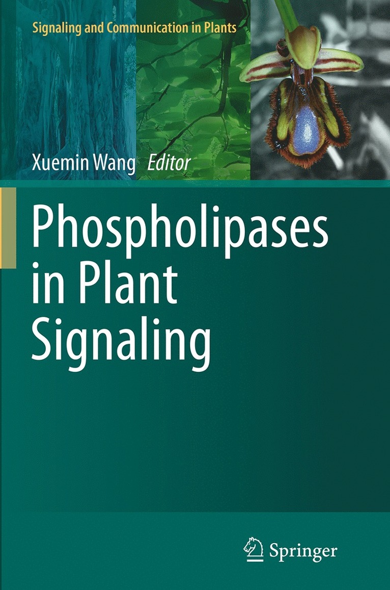 Phospholipases in Plant Signaling
