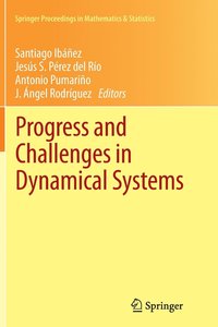 bokomslag Progress and Challenges in Dynamical Systems