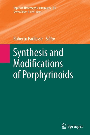 bokomslag Synthesis and Modifications of Porphyrinoids