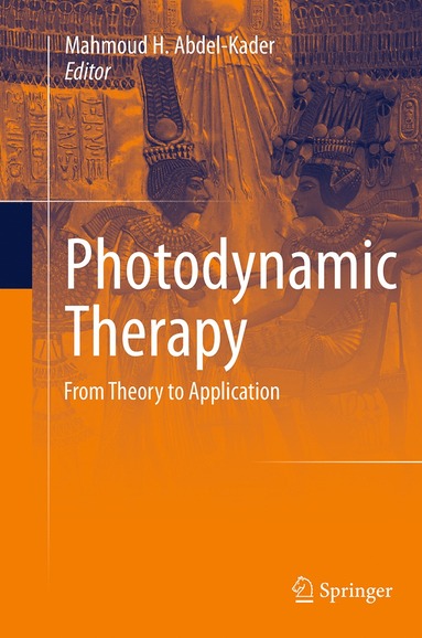 bokomslag Photodynamic Therapy