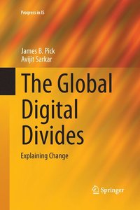bokomslag The Global Digital Divides