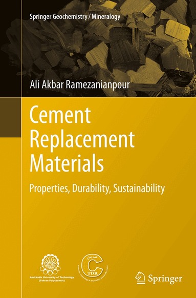 Ali Akbar Ramezanianpour - Cement Replacement Materials, Häftad