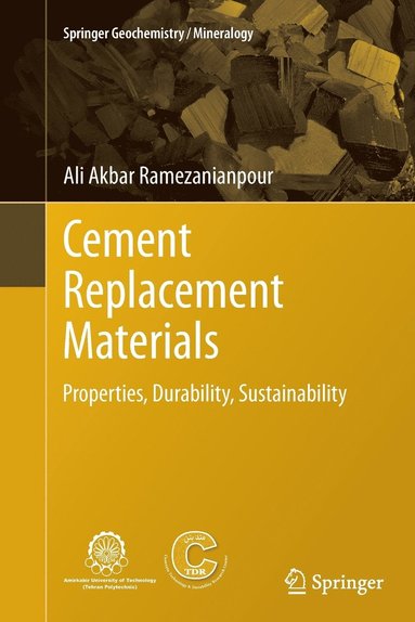 bokomslag Cement Replacement Materials