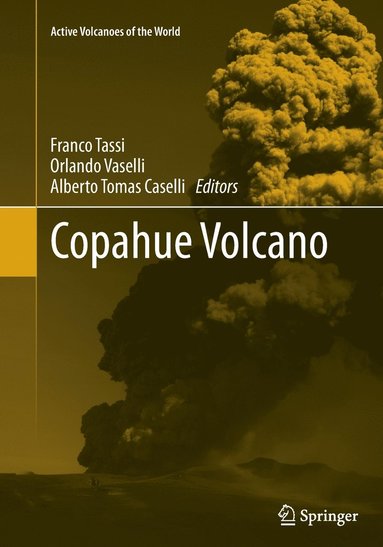 bokomslag Copahue Volcano