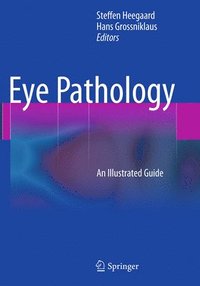 bokomslag Eye Pathology