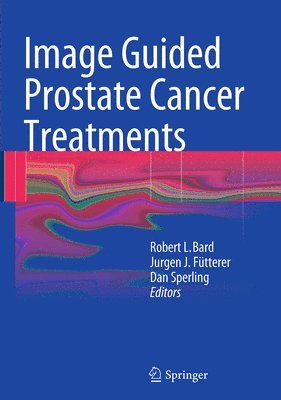 bokomslag Image Guided Prostate Cancer Treatments