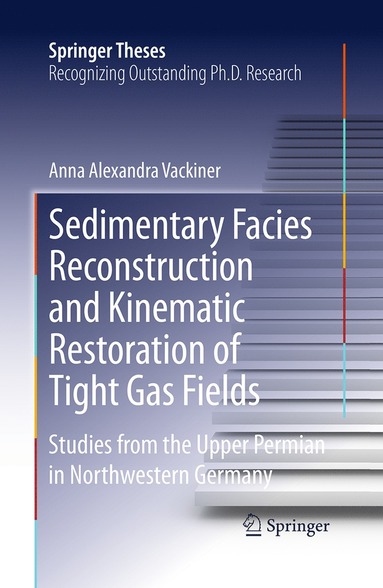 bokomslag Sedimentary Facies Reconstruction and Kinematic Restoration of Tight Gas Fields