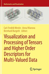 bokomslag Visualization and Processing of Tensors and Higher Order Descriptors for Multi-Valued Data