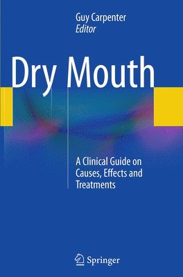 bokomslag Dry Mouth