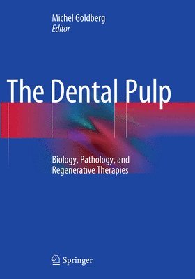 The Dental Pulp 1