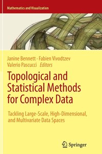 bokomslag Topological and Statistical Methods for Complex Data