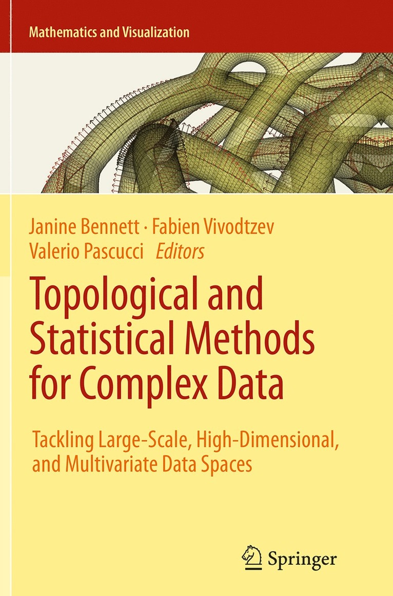 Janine Bennett, Fabien Vivodtzev, Valerio Pascucci - Topological and Statistical Methods for Complex Data, Häftad