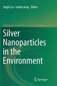 bokomslag Silver Nanoparticles in the Environment