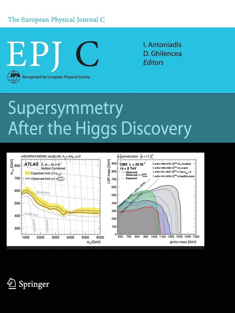 Ignatios Antoniadis, Dumitru Ghilencea - Supersymmetry After the Higgs Discovery, Häftad