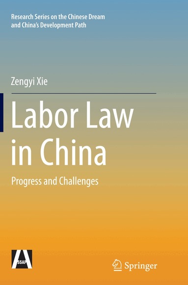 Zengyi Xie - Labor Law in China, Häftad
