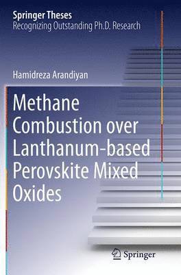 bokomslag Methane Combustion over Lanthanum-based Perovskite Mixed Oxides