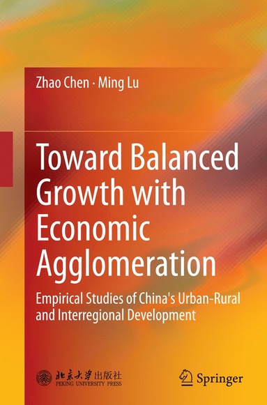 bokomslag Toward Balanced Growth with Economic Agglomeration