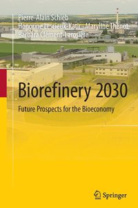 bokomslag Biorefinery 2030