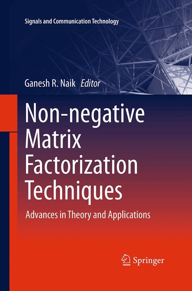 Ganesh R. Naik - Non-negative Matrix Factorization Techniques, Häftad