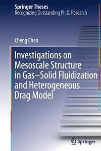 bokomslag Investigations on Mesoscale Structure in GasSolid Fluidization and Heterogeneous Drag Model