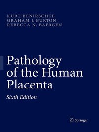 bokomslag Pathology of the Human Placenta